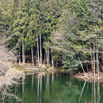 シシガミ様はいません🤭