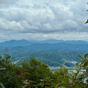 木が育って、見晴らしが…
ベンチも壊れてしまったみたいだし