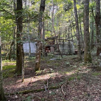 林道に出たところに小屋跡あり