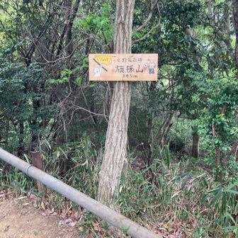 旗振山山頂　見晴らしなし