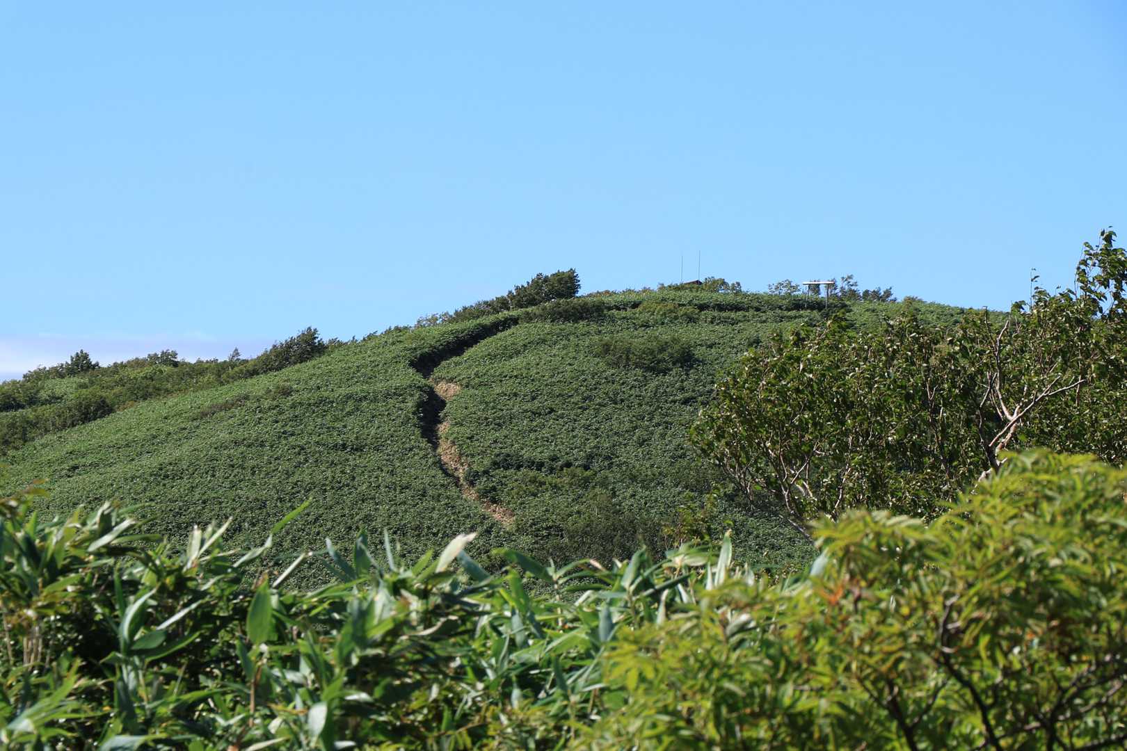 荒沢登山口-田代岳 往復コースの写真