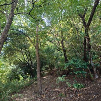 此処からスタートって看板も何も無い。長峰山の登山口。夜間登山の為に昼からスタート。朝から全部歩く体力自信無い…😅