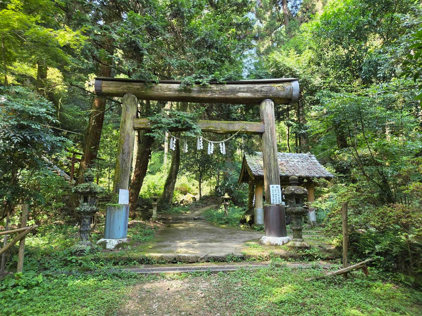 岩屋神社登山口-岩屋山 周回コースの写真