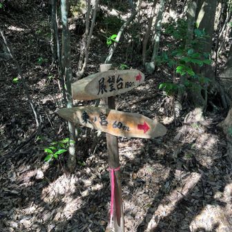 東の宮と西の宮が有る