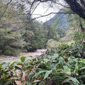 本日最初の槍。我々のテンションが一気に上がります。