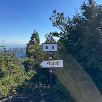 見たことない漢字
これで『ゆずりお』と読むらしい