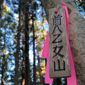 ここが 前八乙女山 山頂？