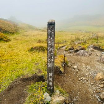 黄色い目印を慎重に確認しながら下って、トムラウシ公園に到着
周りは真っ白で何も見えません笑
膝が痛んでたら、ここで戻る事に決めていましたが大丈夫そうなので先に進みます