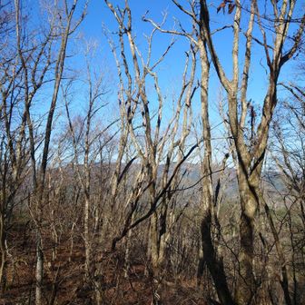 下山〜景色良いけど滑るんで…