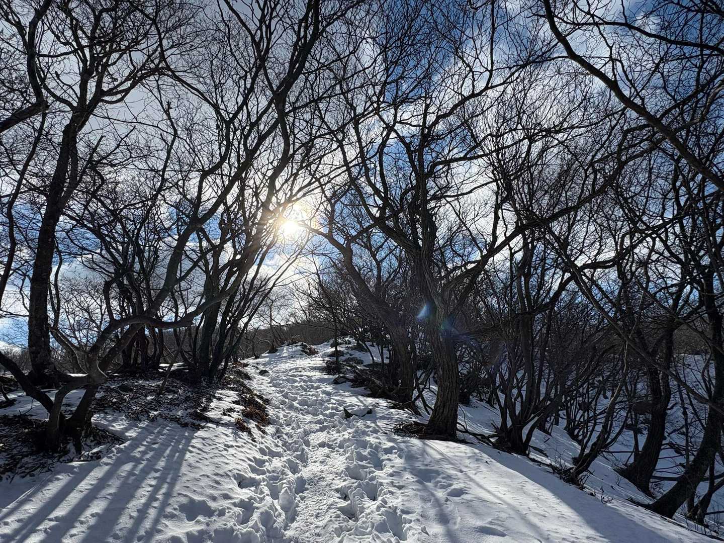 くつき温泉-蛇谷ヶ峰 往復コースの写真