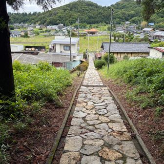 この神社からの景色は好きです⛩️