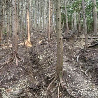 雨水で抉れた道を登る