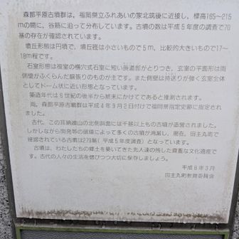 森部平原古墳群の要点

所在地・環境: 福岡県立ふれあいの家 北筑後付近の標高165〜215mの谷沿いに位置します。

規模: 平成5年の調査で70基の円墳が確認されています。

形態: 直径5mから18m程度の円墳で、内部はドーム状の横穴式石室（胴張りがある複室構造）が特徴です。

年代: 6世紀後半〜7世紀（古墳時代終末期）に築造されました。

文化財指定: 平成4年9月2日に福岡県指定史跡に登録されています。

歴史的背景

耳納（みのう）連山の北側斜面には、かつて1,000基を超える古墳が存在していましたが、開発により多くが失われました。森部平原古墳群は、その当時の面影を色濃く残す貴重な遺跡群です。 

