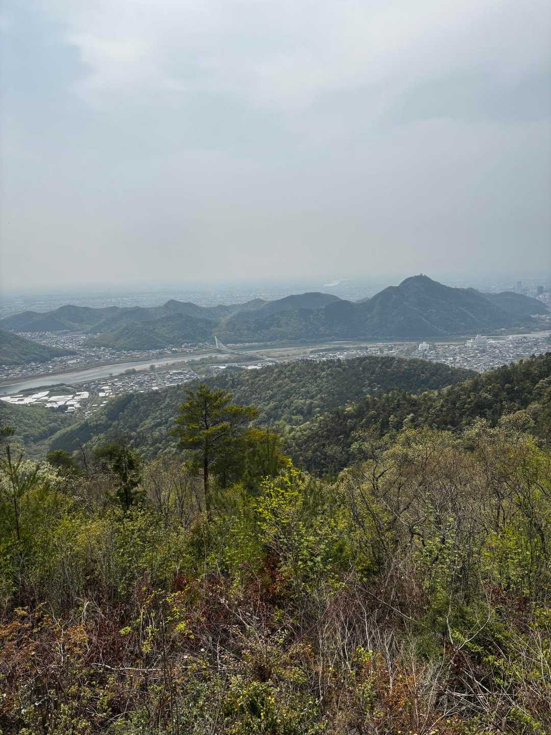 散策の森広場-白山展望広場-百々ヶ峰 往復コースの写真
