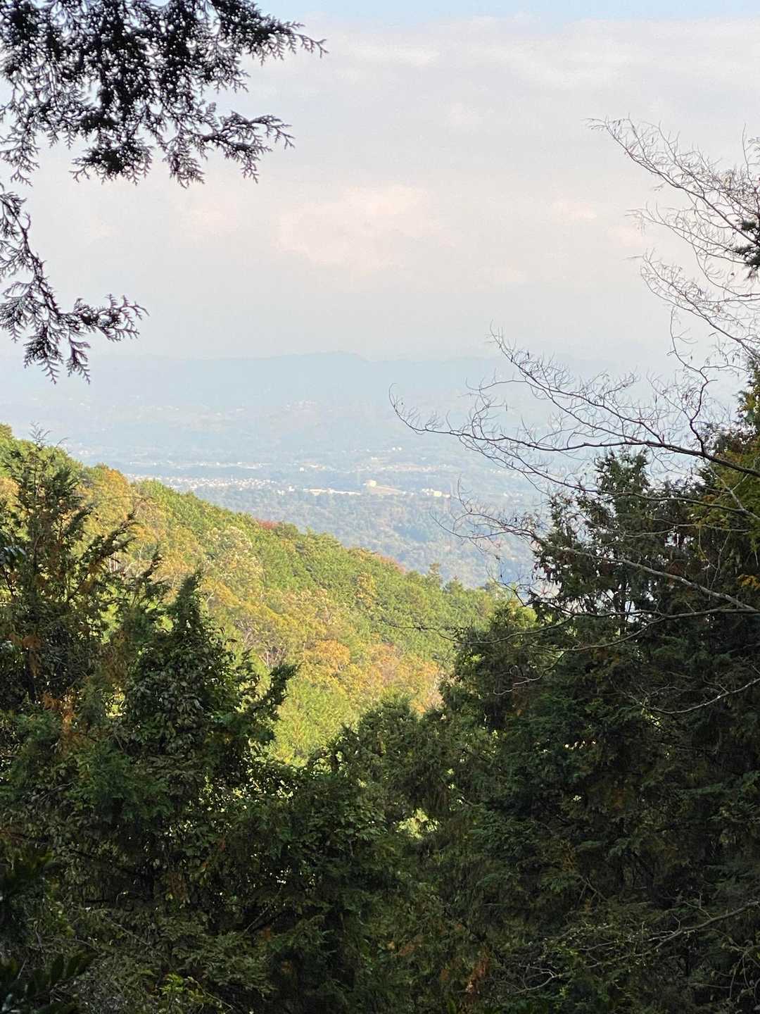 登山道から唯一見えた景色
