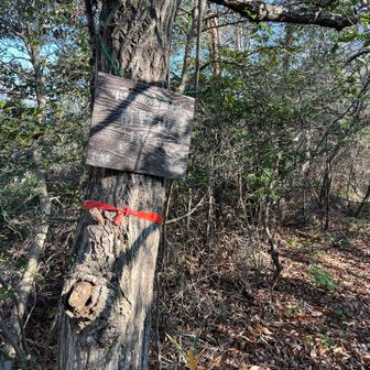 ラスト十二座目　南野山