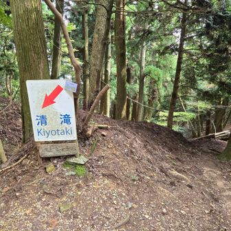 表参道との合流地点
右側から登ってきました