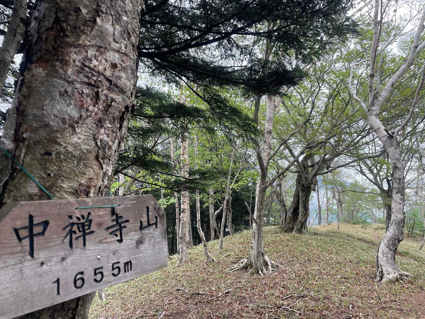 中禅寺山🙌