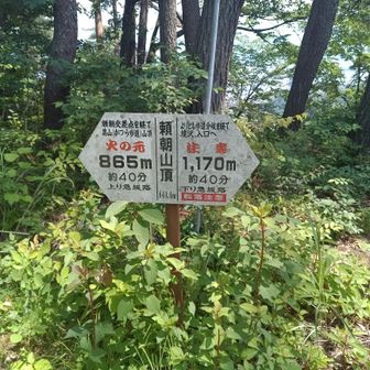 頼朝山頂 看板