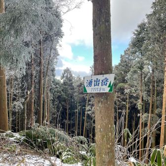 大阪府の最高峰だそうです。