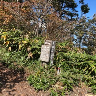 中蒜山登山道に合流。