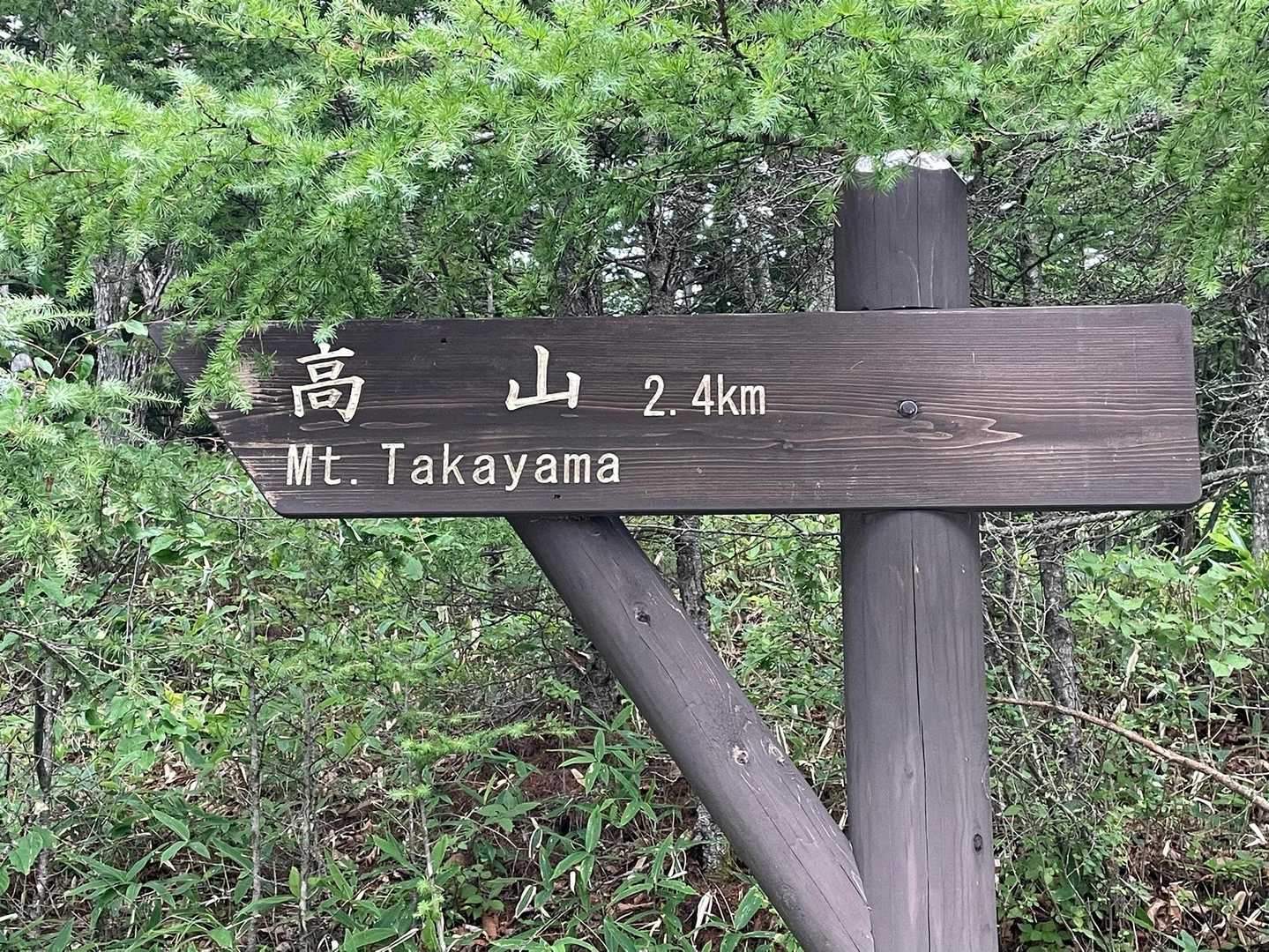高山 往復コースの写真