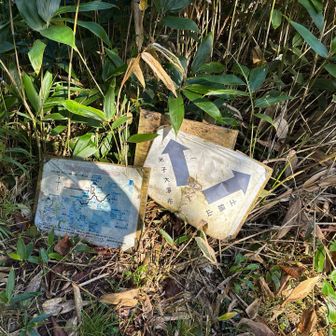 米子大瀑布への分岐‼️
