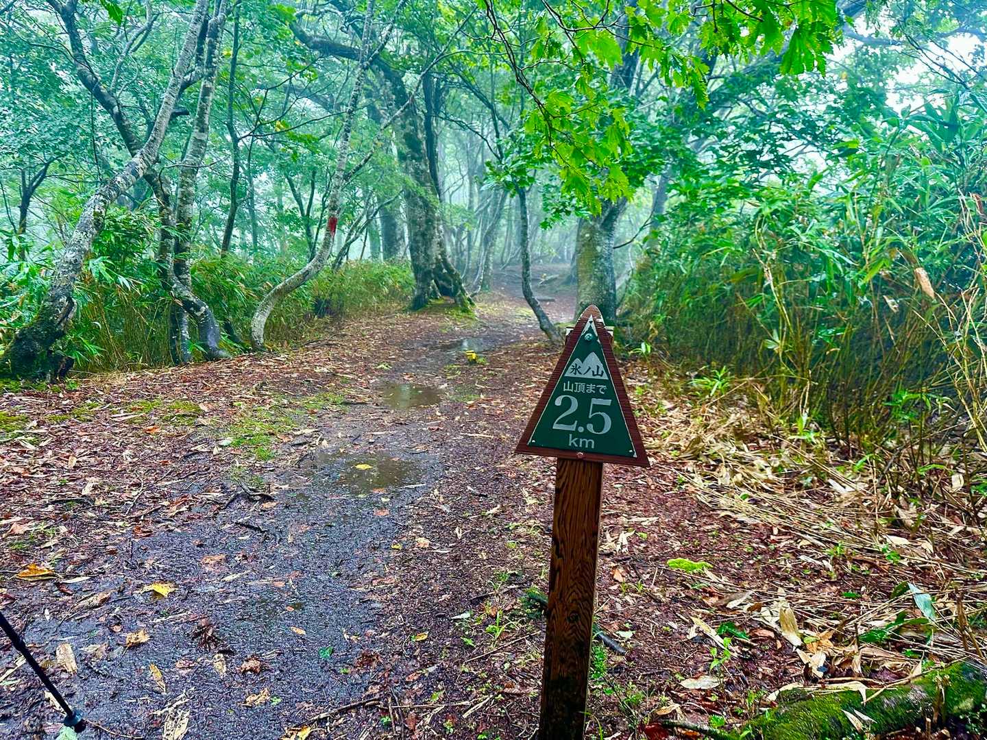 氷ノ山ならではの山頂距離表示看板は、
こちらの登山道でも健在でした🤗