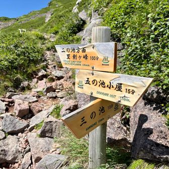 五の池小屋方面へ
