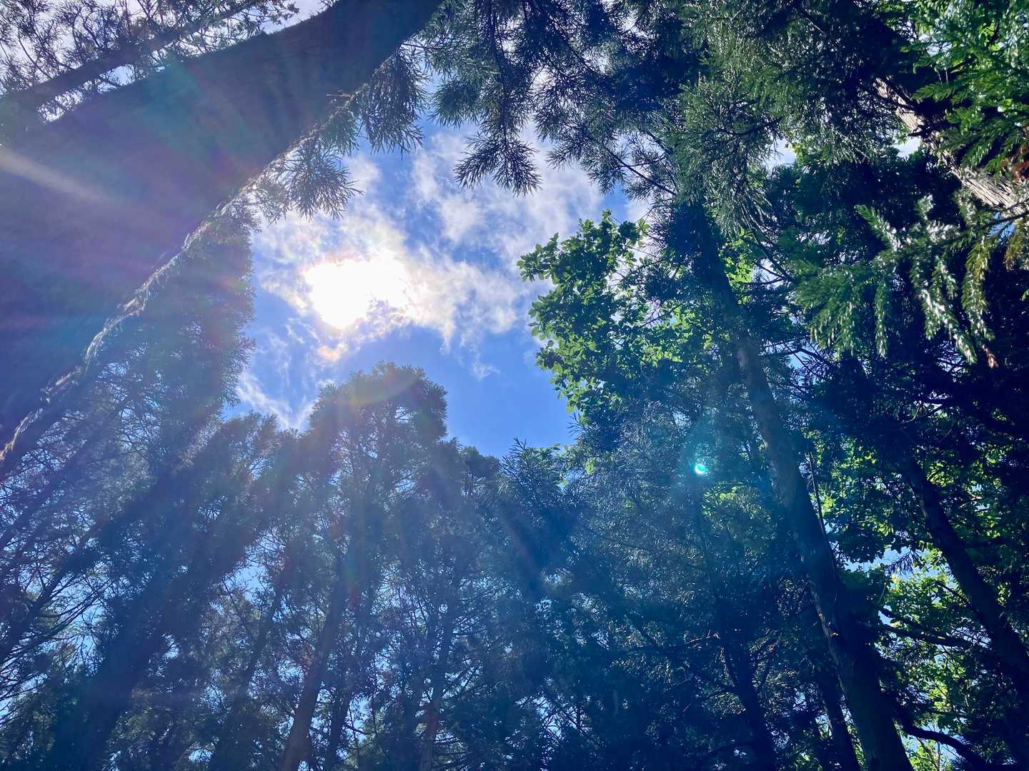 下界は晴れてる☀️
山あるある