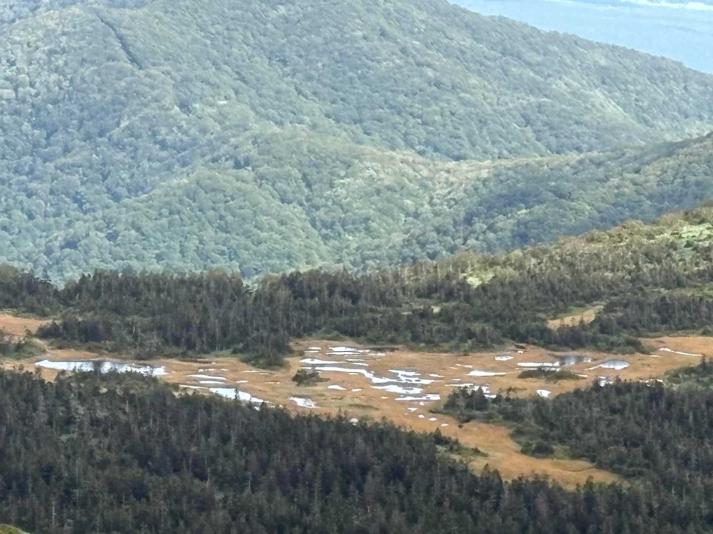 千沼ヶ原