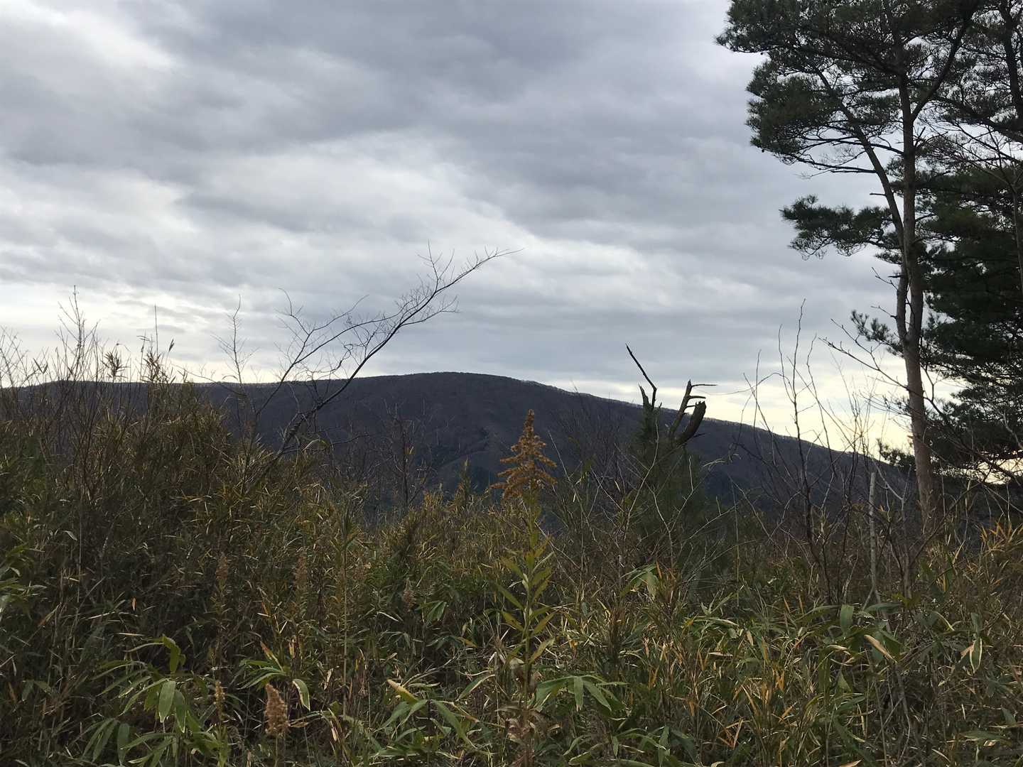 その先のドコモの電波塔のあたりが山頂のよう。ここに三角点があったのか。向こうには日山（天王山）。