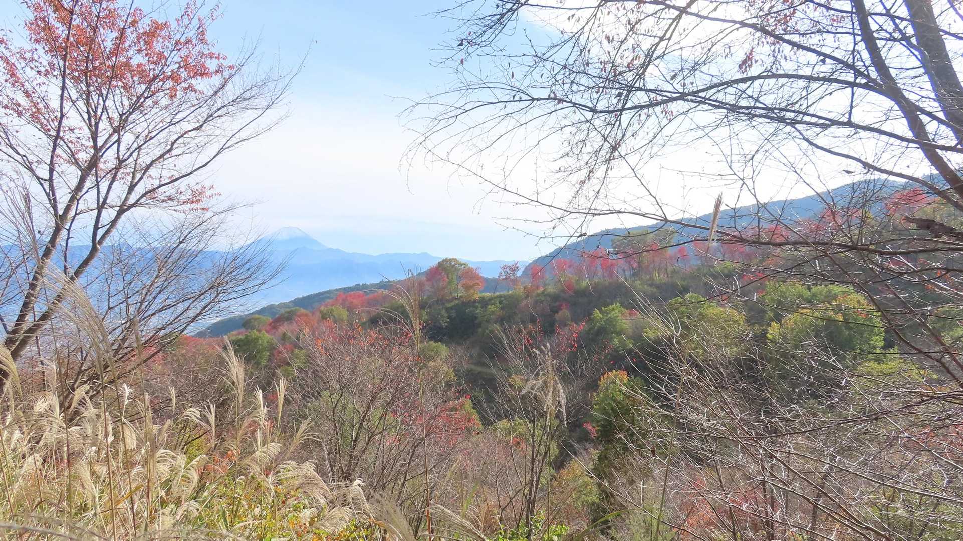 紅葉と富士山がいい感じ