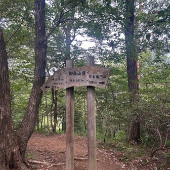 御嶽山。低山セブンサミッツ！の一座
