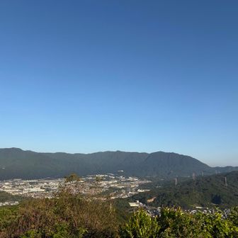お天気最高🩵
