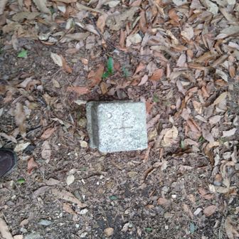 三角点ありました。
スペース有ったのでここで昼食にしました