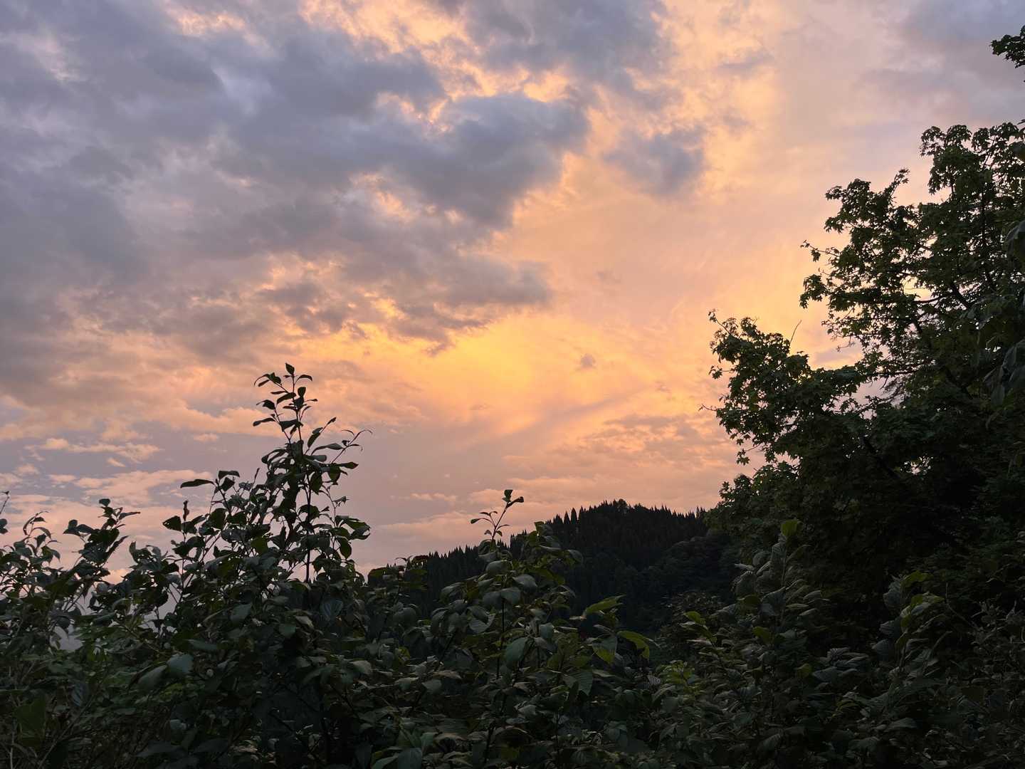 夕焼け