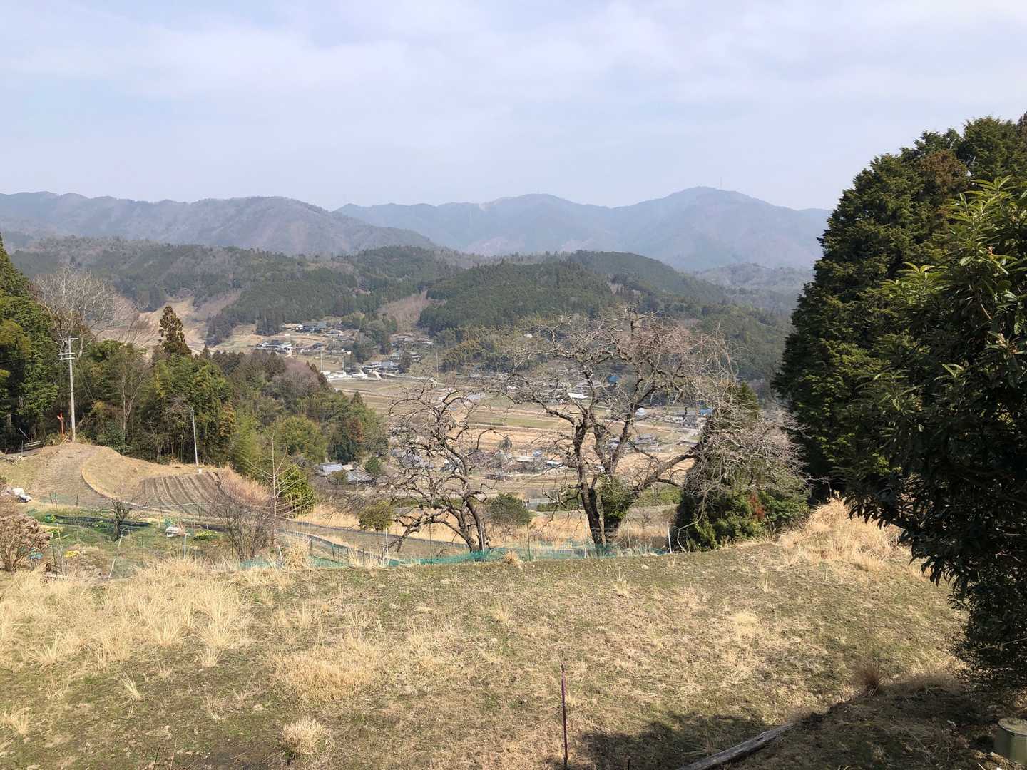 のどかな里山の風景。