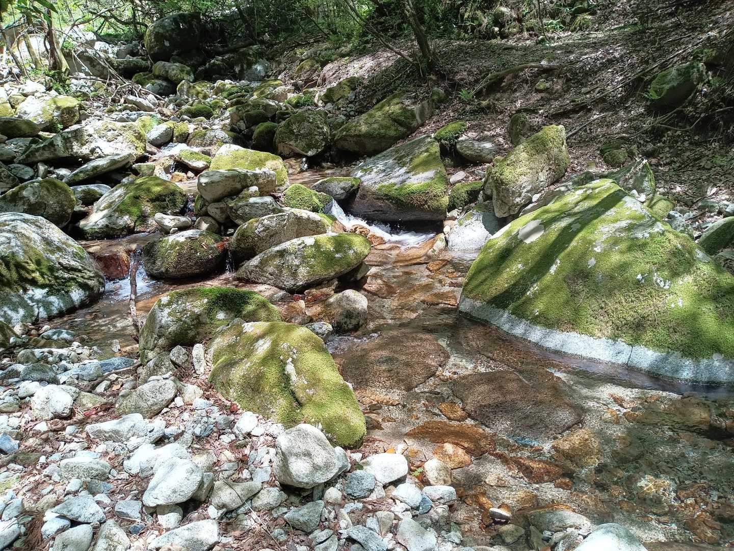脊振山-矢筈峠 周回コースの写真