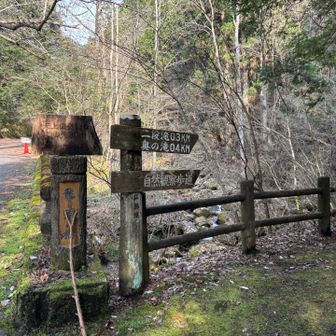 真っ直ぐ行けば天上山
ここを右に曲がると滝