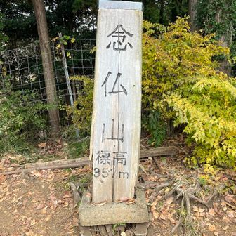 高取山から激下ってアップダウンを繰り返して念仏山に到着しました✌️
ここまでくればあとは基本下るだけです💪