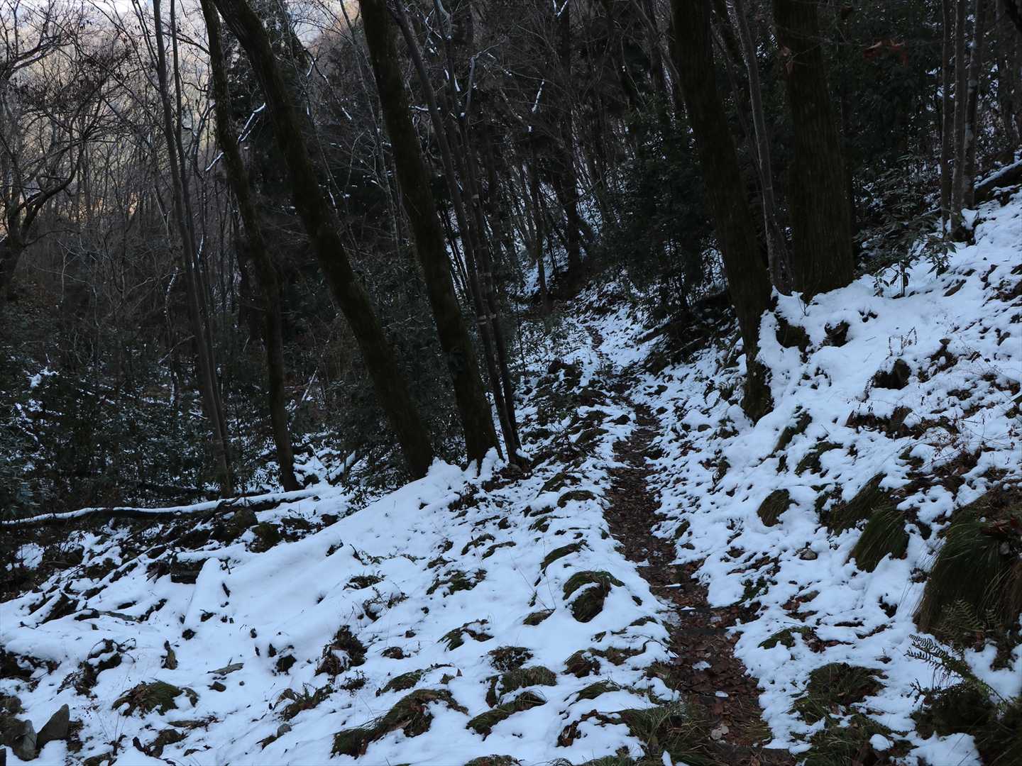 ルートは明瞭ですが滑りやすい箇所も。