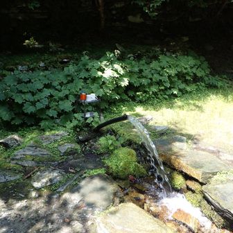 ダイヤモンド水