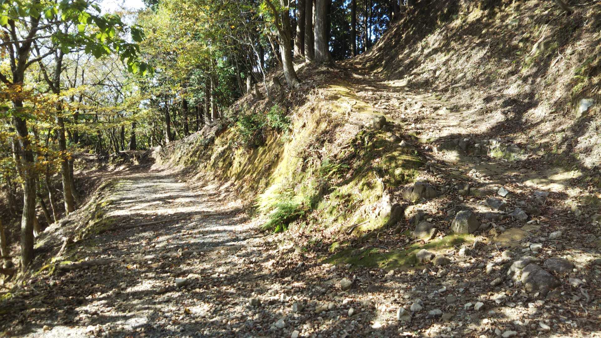 ここからは作業道？