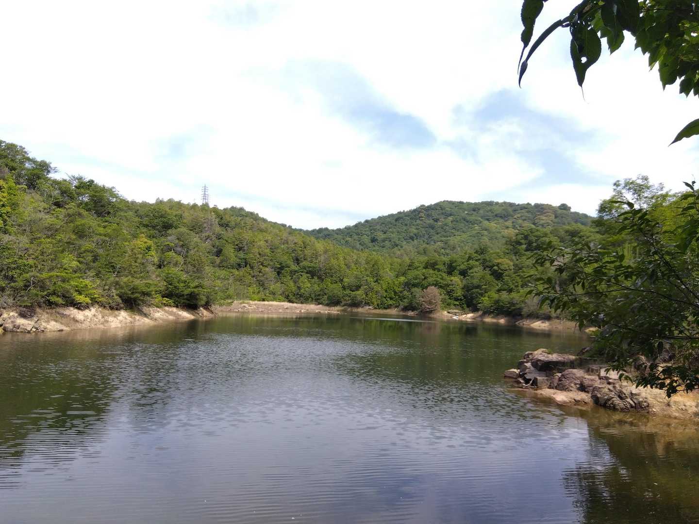 鳴谷池