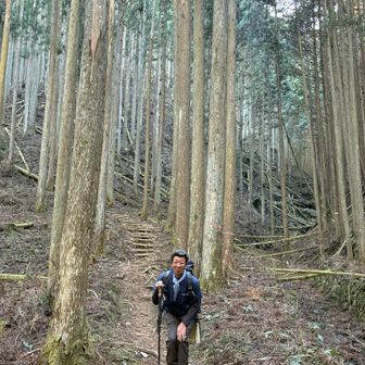 やっぱり下りは弱い😭
膝をサスサス👋