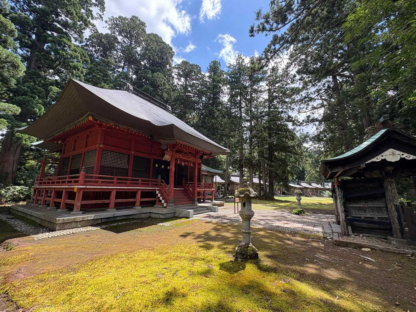 こちらが山頂（たぶん）🤔
うろついてみたけど山頂標識や三角点などは見つけられず。。。
YAMAP的に山頂を踏んでいる事になるか不安だったけどちゃんと山頂を踏んでいたことになっていてよかった😊