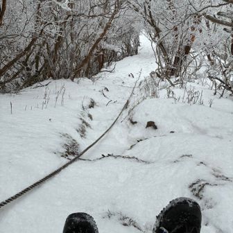 山頂から雪の融け残った北斜面を一気に下る　
滑るとヤバいかも