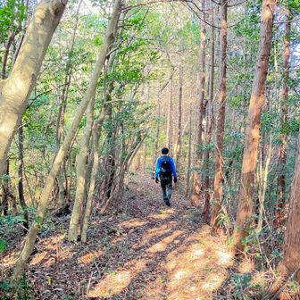 割と整備されてて何だか物足りない😆