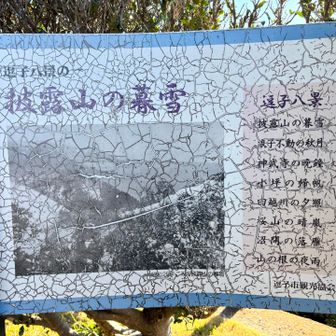 逗子八景ヨガハイキングもするかな？